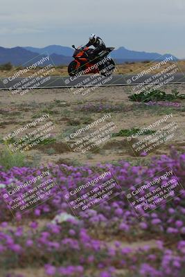 media/Jan-14-2023-SoCal Trackdays (Sat) [[497694156f]]/Turn 14 Exit Bloomig (145pm)/